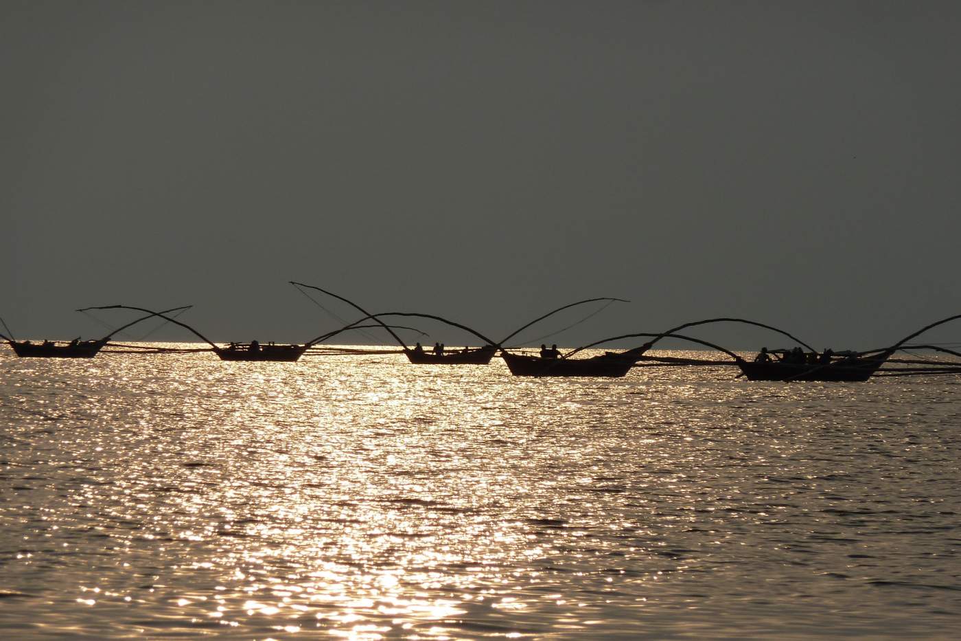 Erlebnis-Reisen Uganda, Bwindi Nationalpark